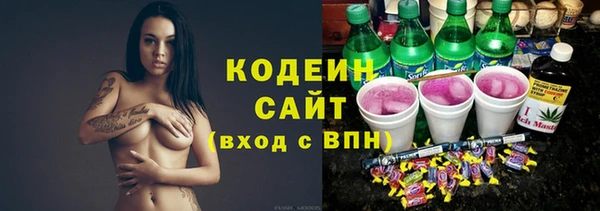 трава Гусиноозёрск