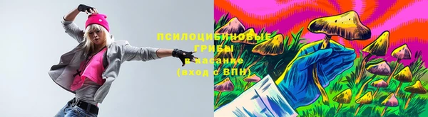 бошки Дмитровск