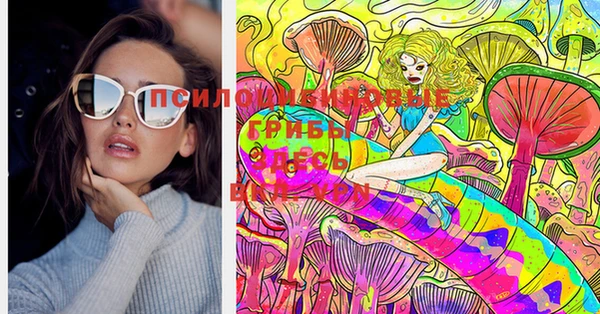 mdma Дмитриев
