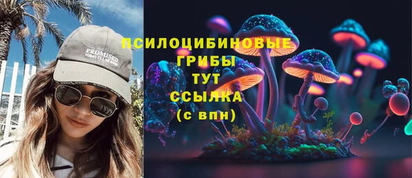 mdma Дмитриев