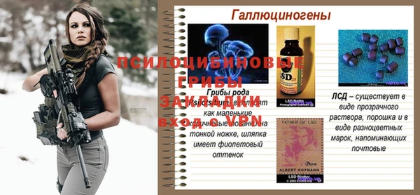 меф Гусев