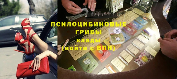 трава Гусиноозёрск