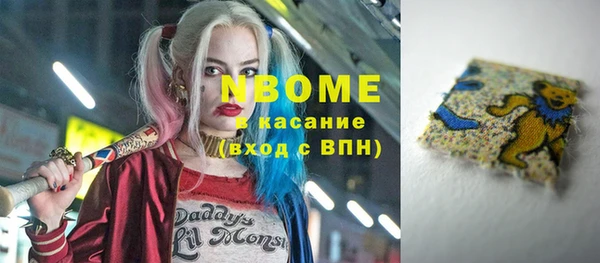 гашик Гусь-Хрустальный