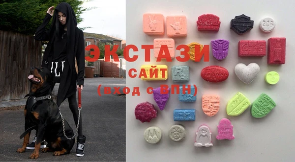 гашик Гусь-Хрустальный