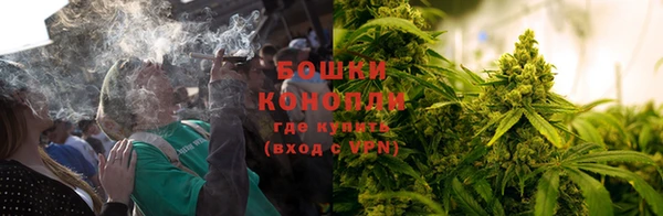 трава Гусиноозёрск