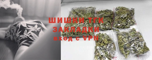 трава Гусиноозёрск