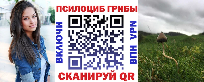 Купить закладки  Эртиль  Галлюциногенные грибы Psilocybine cubensis 